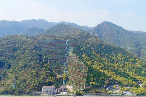 杭州钱江陵园环境